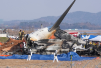 Tragic South Korean Jeju Air Flight 7C 2216 Plane Crash at Muan Airport Leaves 179 Dead