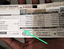 Ilustrasi Pajak Mobil (PKB dan Opsen) yang mencekik